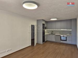 Pronájem bytu 2+kk, Plzeň - Litice, 53 m2