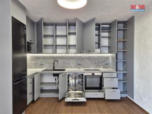 Pronájem bytu 2+kk, Plzeň - Litice, 53 m2