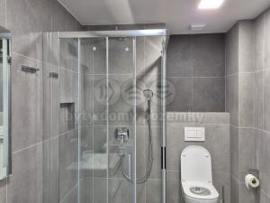 Pronájem bytu 2+kk, Plzeň - Litice, 53 m2