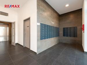 Pronájem kanceláře, Praha - Hloubětín, Poděbradská, 31 m2