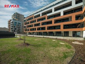 Pronájem kanceláře, Praha - Hloubětín, Poděbradská, 31 m2