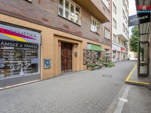 Pronájem bytu 1+kk, Praha - Karlín, Thámova, 20 m2