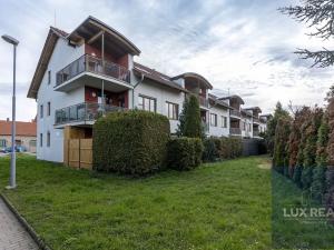 Prodej bytu 2+kk, Brno, Sokolnická, 54 m2
