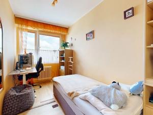 Prodej bytu 3+kk, Pardubice, Havlíčkova, 70 m2