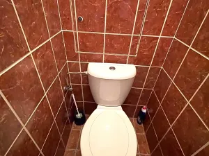 Prodej bytu 2+1, Uherský Brod, V. Růžičky, 60 m2