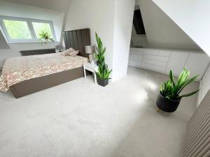 Pronájem rodinného domu, Průhonice, Pod Valem II., 270 m2