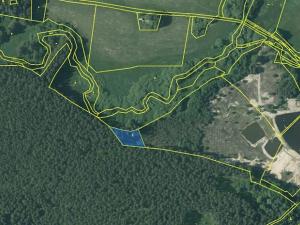 Prodej lesa, Nová Bystřice, 1141 m2