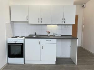 Pronájem bytu 1+1, Litvínov, Školní, 35 m2