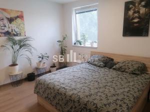 Pronájem bytu 1+1, Šternberk, Masarykova, 49 m2
