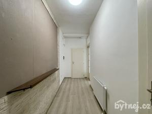 Pronájem bytu 2+kk, Olomouc - Nová Ulice, Karolíny Světlé, 45 m2