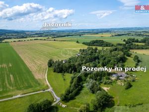 Prodej pozemku pro bydlení, Vlčice, 7089 m2