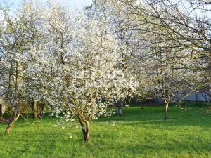 Prodej pozemku pro bydlení, Mohelnice, 2573 m2