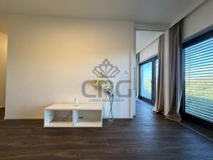 Pronájem bytu 2+kk, Brno - Veveří, Lidická, 54 m2