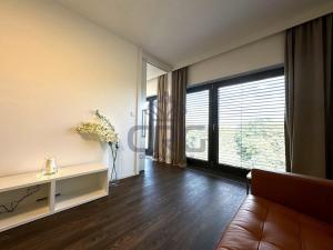 Pronájem bytu 2+kk, Brno - Veveří, Lidická, 54 m2