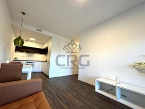 Pronájem bytu 2+kk, Brno - Veveří, Lidická, 54 m2