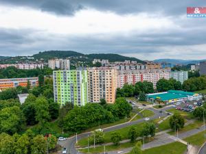 Prodej bytu 1+1, Ústí nad Labem - Severní Terasa, Muchova, 42 m2
