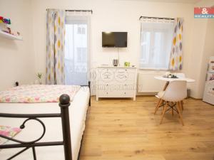 Pronájem bytu 1+kk, Jindřichův Hradec - Jindřichův Hradec I, nám. Míru, 25 m2