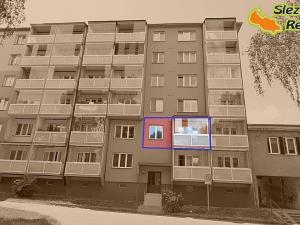 Pronájem bytu 1+1, Ostrava, Sokolovská, 34 m2