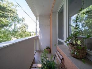 Prodej bytu 3+1, Olomouc, Synkova, 80 m2