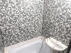 Prodej bytu 1+1, Ústí nad Labem, Mlýnská, 37 m2