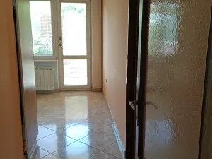 Prodej rodinného domu, Hrušovany nad Jevišovkou, 300 m2