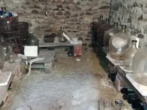 Prodej rodinného domu, Hrušovany nad Jevišovkou, 300 m2