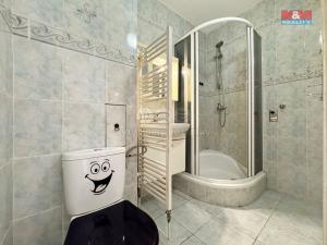 Pronájem bytu 2+1, Toužim - Kosmová, 53 m2