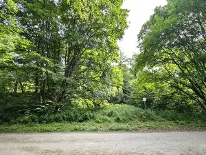 Prodej pozemku, Vizovice, 32591 m2