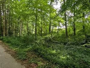 Prodej pozemku, Vizovice, 32591 m2