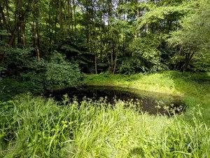 Prodej pozemku, Vizovice, 32591 m2