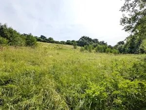 Prodej pozemku, Vizovice, 32591 m2
