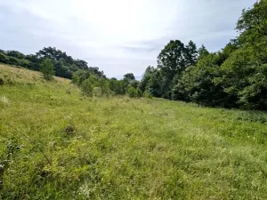Prodej pozemku, Vizovice, 32591 m2