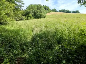 Prodej pozemku, Vizovice, 32591 m2
