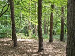 Prodej pozemku, Vizovice, 32591 m2