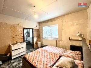 Prodej rodinného domu, Město Albrechtice - Opavice, 250 m2