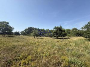 Prodej pozemku pro bydlení, Vracov, 7912 m2