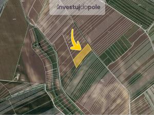 Prodej pole, Nový Poddvorov, 11711 m2