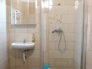 Pronájem bytu 2+1, Teplice, J. V. Sládka, 66 m2