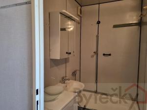Pronájem bytu 2+kk, Praha - Kamýk, Cílkova, 43 m2