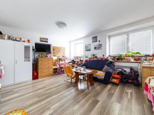 Prodej rodinného domu, Sebranice, 315 m2