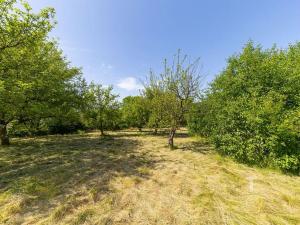 Prodej rodinného domu, Sebranice, 315 m2