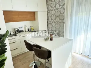 Pronájem bytu 1+kk, Praha - Košíře, Česká, 48 m2