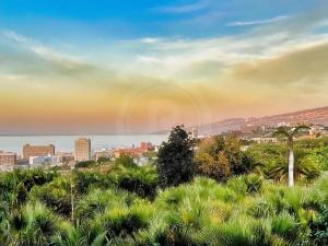 Prodej vily, Puerto de la Cruz, Španělsko, 341 m2
