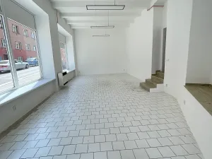 Pronájem obchodního prostoru, Praha - Libeň, Krejčího, 55 m2