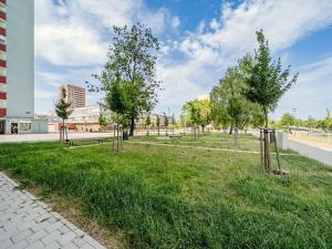 Pronájem bytu 2+1, Ostrava, Dr. Martínka, 62 m2