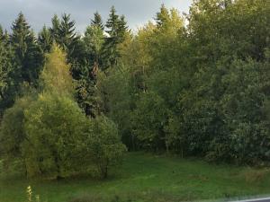Pronájem bytu 1+1, Jablonec nad Nisou - Proseč nad Nisou, U Tenisu, 45 m2