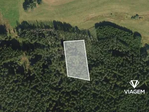 Prodej podílu lesa, Žďár nad Sázavou, 904 m2