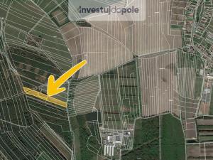 Prodej pole, Uhlířská Lhota, 7656 m2