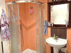 Pronájem bytu 1+kk, Praha - Holešovice, Jankovcova, 37 m2