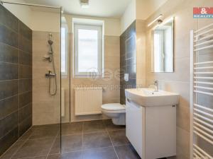 Pronájem bytu 1+kk, Trhové Sviny, Za Pilou, 40 m2